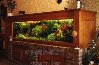 荷蘭式水草造景深入解析（01）：歷史發展