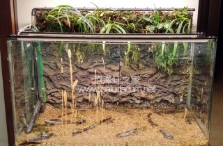 弱光 LED 水草栽培實驗（02）：水族燈具 DIY