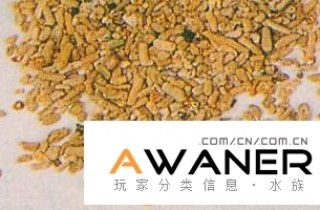 水族玩家飼養羅漢魚的底砂該怎麼設置？