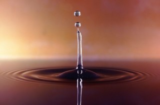 水族箱內為什麼不能用凈水劑？