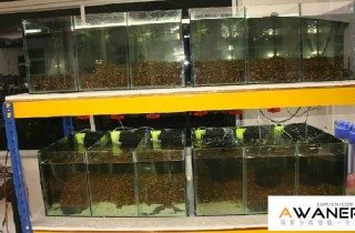 什麼是系統缸？