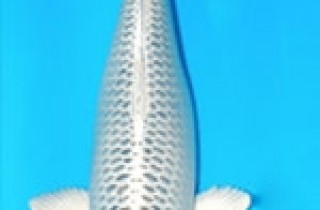 銀棒