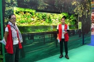 2010 年台灣盃水中花園創意造景比賽成果（上）：90 公分組