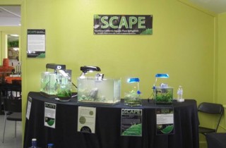 橘郡市集的造景展示