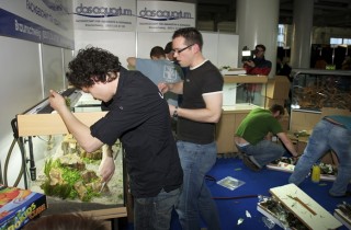 2011 年德國「水草缸之藝術」水草造景大賽成績