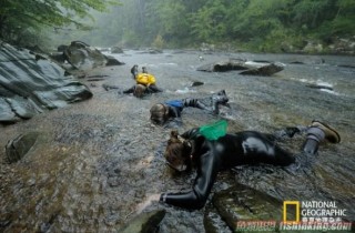 美建淡水物种方舟，保存濒危鱼类(图)