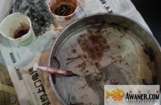 如何鉴别染色红龙以及上色手段