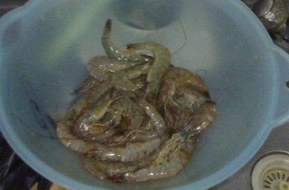 羅漢魚餵養蝦怎樣處理