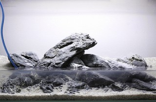 水族造景焦點人物：George Farmer