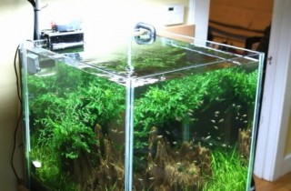 Tom Barr 接受克罗地亚网站专访