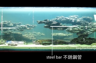 水族造景人物聚焦：Long Tran Hoang