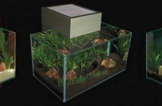 擴展水族造景的無限可能：Fluval Edge 水族缸
