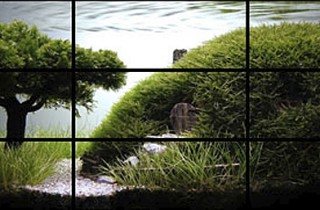 水族造景分析：我們的寶貝～